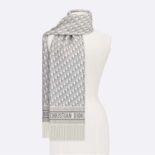 Dior Women Oblique Scarf Gray Cashmere