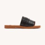 Chloe Women Woody Flat Mule-Black