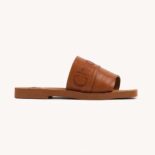 Chloe Women Woody Flat Mule-Brown